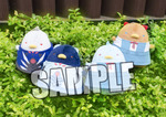 SAMPLE4