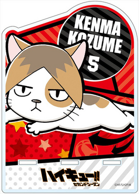 �ϥ����塼!! ������ɥ������� ������륹�ޥۥ������ ���޸��� 