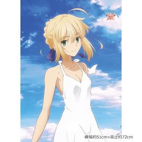 Fate/stay night [Unlimited Blade Works] ���������� B2���ڥ��ȥ꡼ �����С�  �ѥå���������