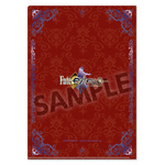 ����ץ����2