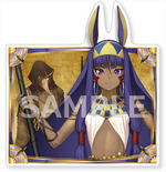 ����ץ����6