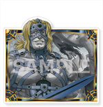 ����ץ����13