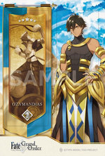 ����ץ����12