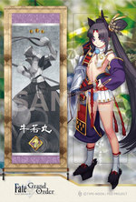 ����ץ����14