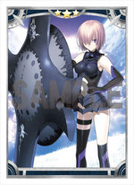 ����ץ����6