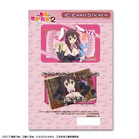 ���������餷�������˽�ʡ�� IC�����ɥ��ƥå��� �ǥ�����05 ����� 