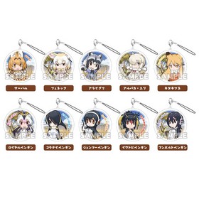 Υե ꥦॢ륹ȥåס1BOX 