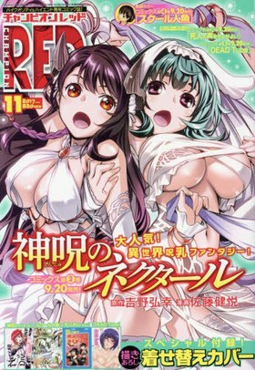 �����ԥ���RED 2017ǯ11��� 