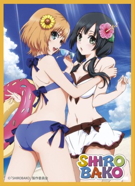 饹꡼֥쥯ǥå SHIROBAKO Part.2 