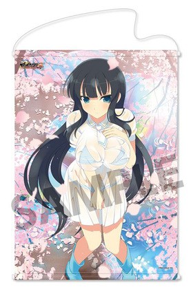 ���𥫥��� NewWave G�С����� B2���ڥ��ȥ꡼ ��ȷ �Ӥ���Ǩ��ver. 