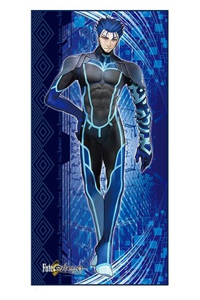 Fate/EXTELLA �ޥ������ե����С��ե����������� �������ա����[����] 